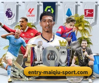 www.entry-maiqiu-sport.com APP